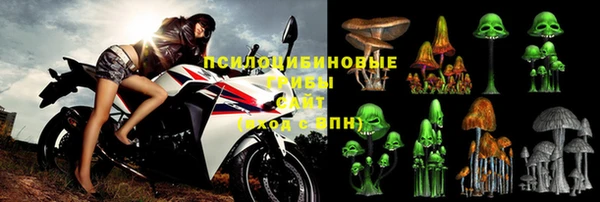 PSILOCYBIN Алексин