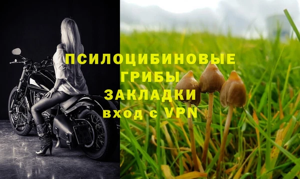 шишки Алексеевка
