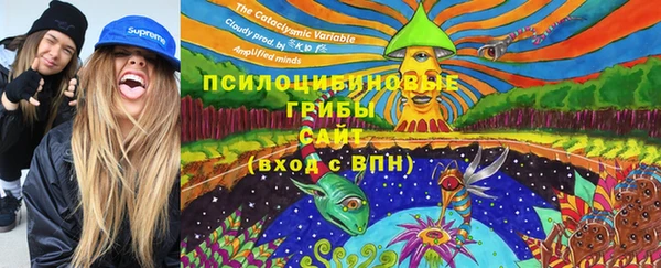 Альфа ПВП Нефтегорск